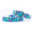 WildHound C4 Cat Party Apple Watch Band
