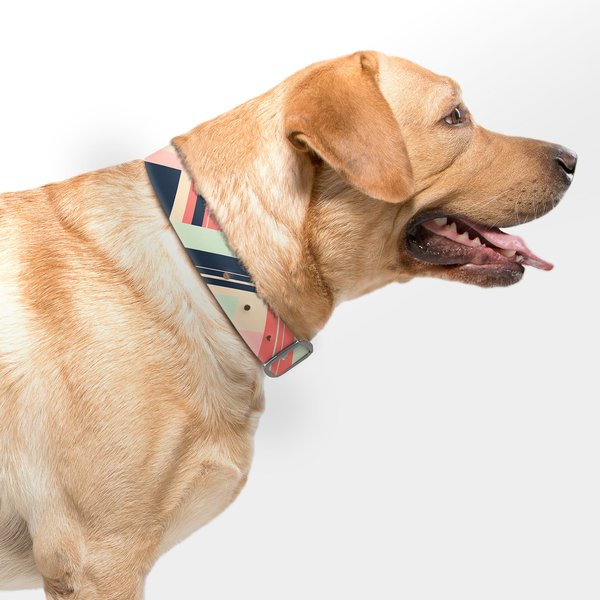 WildHound C4 Colorblocked Warm Waterproof Hypoallergenic Personalized Dog Collar