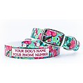 C4 Aloha Waterproof Hypoallergenic Personalized Dog Collar, Small