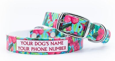 C4 Aloha Waterproof Hypoallergenic Personalized Dog Collar, slide 1 of 1