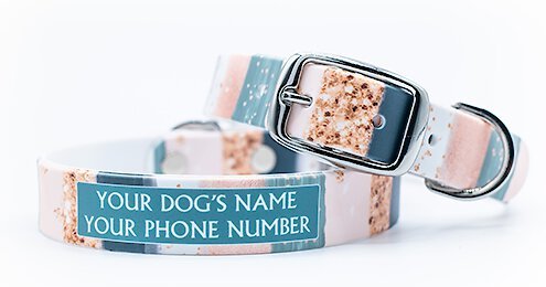 C4 Large Dog Collar