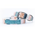 C4 Blush Stripes Waterproof Hypoallergenic Personalized Dog Collar, Small