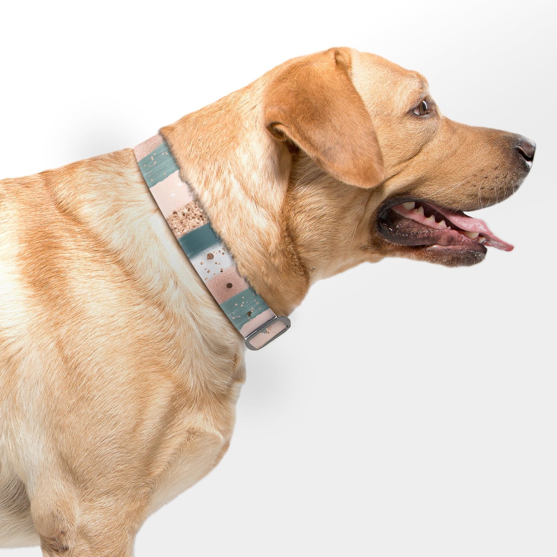 C4 Large Dog Collar