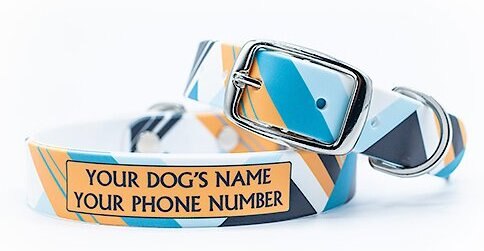 C4 Colorblocked Cool Waterproof Hypoallergenic Personalized Dog Collar, Small slide 1 of 4