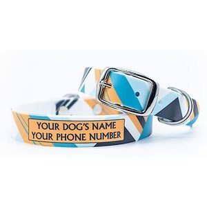 C4 Colorblocked Cool Waterproof Hypoallergenic Personalized Dog Collar, Large