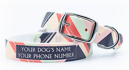 C4 Colorblocked Warm Waterproof Hypoallergenic Personalized Dog Collar, Small slide 1 of 4