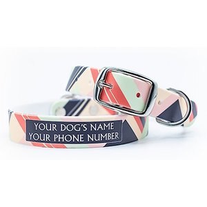 C4 Colorblocked Warm Waterproof Hypoallergenic Personalized Dog Collar, Small