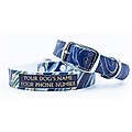 C4 Agate & Gold Waterproof Hypoallergenic Personalized Dog Collar, Small