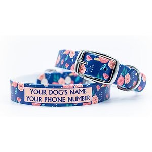 C4 Flora Waterproof Hypoallergenic Personalized Dog Collar, Large