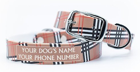 C4 Khaki Plaid Waterproof Hypoallergenic Personalized Dog Collar, Large slide 1 of 4