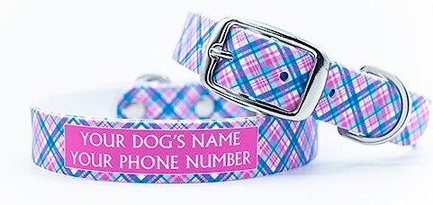 C4 Plaid Waterproof Hypoallergenic Personalized Dog Collar, Small slide 1 of 4