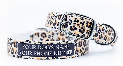 C4 Leopard Print Waterproof Hypoallergenic Personalized Dog Collar, Medium slide 1 of 4