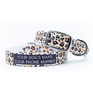 C4 Leopard Print Waterproof Hypoallergenic Personalized Dog Collar, Medium