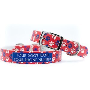 C4 Pawtriot Waterproof Hypoallergenic Personalized Dog Collar, Small
