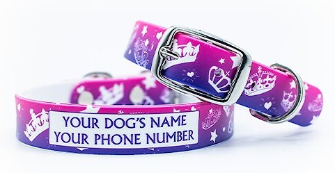 Chewy personalized outlet dog collars