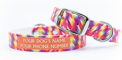 Details about   C4 Medium Dog Collar 