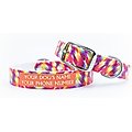 C4 Bright Geometric Waterproof Hypoallergenic Personalized Dog Collar, Small