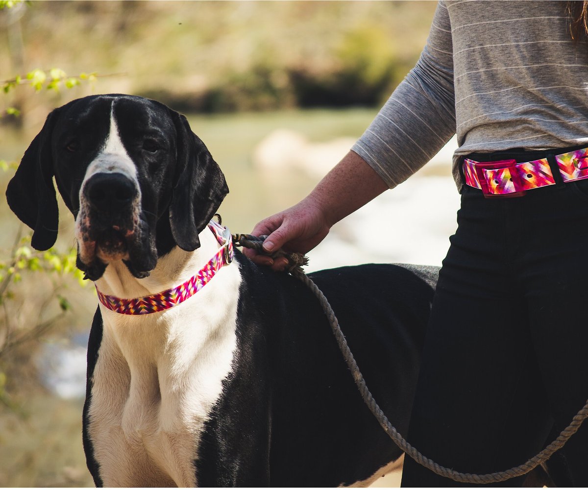 WILDHOUND C4 Bright Geometric Waterproof Hypoallergenic Personalized