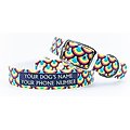 C4 Love Wins Waterproof Hypoallergenic Personalized Dog Collar, Small