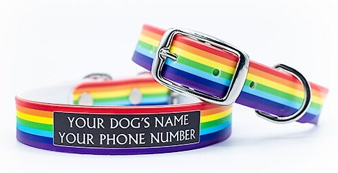 C4 Rainbow Waterproof Hypoallergenic Personalized Dog Collar, Small slide 1 of 4