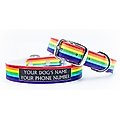 C4 Rainbow Waterproof Hypoallergenic Personalized Dog Collar, Small