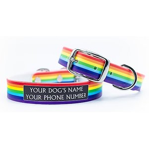 C4 Rainbow Waterproof Hypoallergenic Personalized Dog Collar, Small