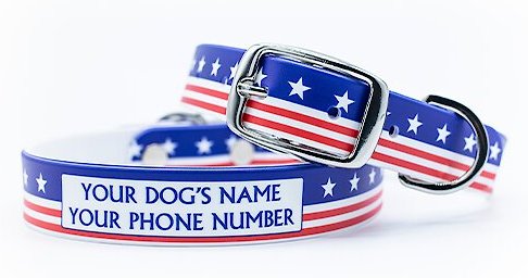 C4 Americana Throwback Waterproof Hypoallergenic Personalized Dog Collar, Small slide 1 of 4