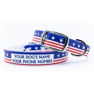 C4 Americana Throwback Waterproof Hypoallergenic Personalized Dog Collar, Small