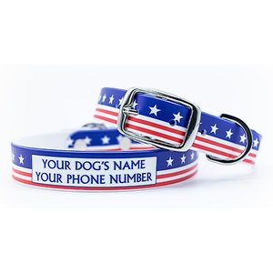 C4 Americana Throwback Waterproof Hypoallergenic Personalized Dog Collar, Medium