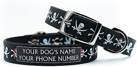 C4 Jolly Roger Waterproof Hypoallergenic Personalized Dog Collar, Small slide 1 of 4