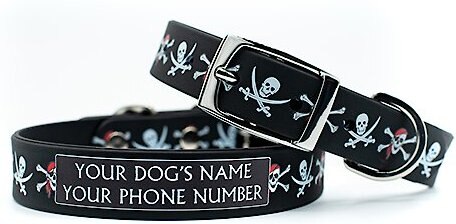 C4 Jolly Roger Waterproof Hypoallergenic Personalized Dog Collar, Medium slide 1 of 4