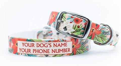 C4 Pretty Poinsettia Waterproof Hypoallergenic Personalized Dog Collar, X-Large slide 1 of 4