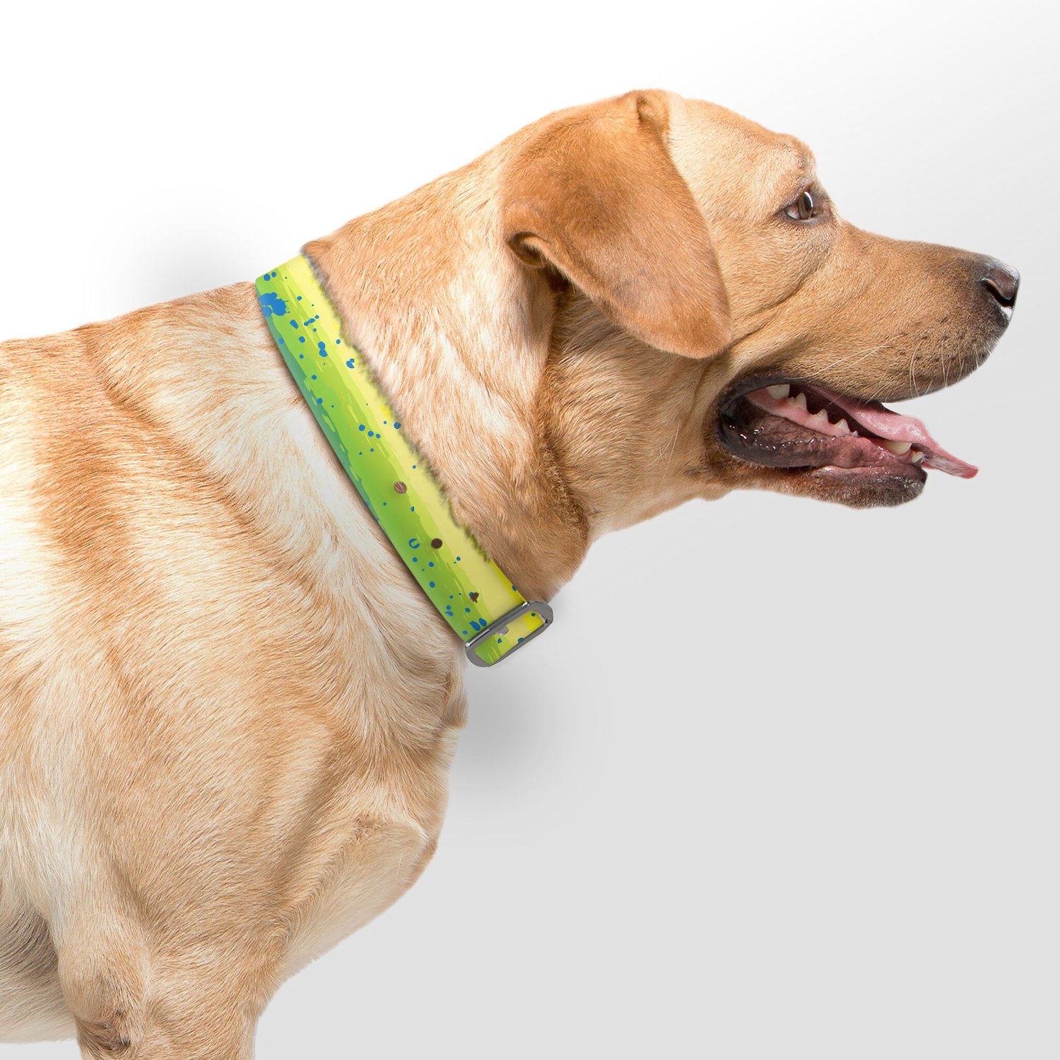 C4 Mahi Waterproof Hypoallergenic Personalized Dog Collar, Large