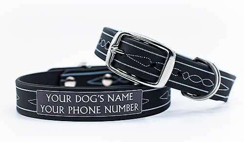 C4 ETA Stitches Waterproof Hypoallergenic Personalized Dog Collar, X-Large slide 1 of 4