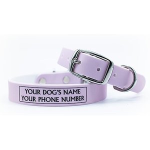 C4 Solid Waterproof Hypoallergenic Personalized Dog Collar, Lavender, Medium