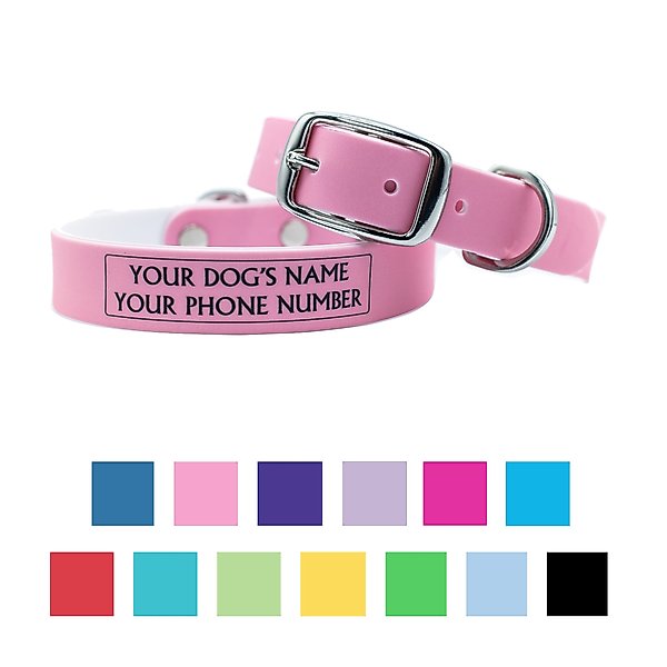 C4 Solid Waterproof Hypoallergenic Personalized Dog Collar, Rose, Medium slide 1 of 3