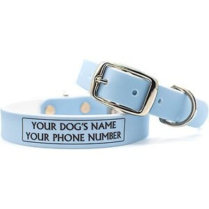 C4 Solid Waterproof Hypoallergenic Personalized Dog Collar, Sky Blue, Large