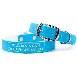C4 Solid Waterproof Hypoallergenic Personalized Dog Collar, Baby Blue, Small