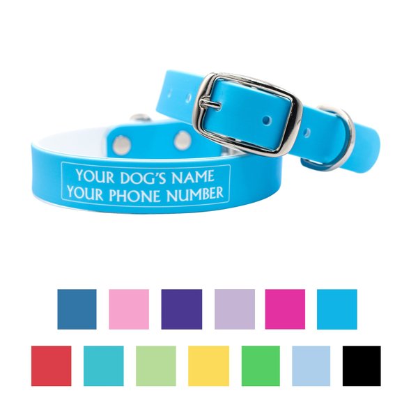 WILDHOUND C4 Solid Waterproof Hypoallergenic Personalized Dog Collar, Baby Blue, Medium