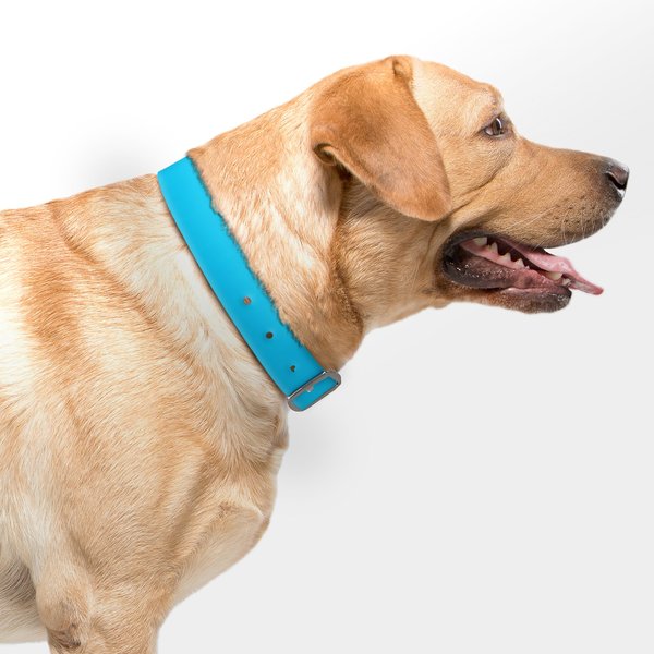 WildHound C4 Solid Waterproof Hypoallergenic Personalized Dog Collar