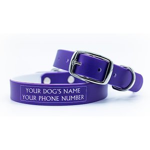 C4 Solid Waterproof Hypoallergenic Personalized Dog Collar, Plum, Small
