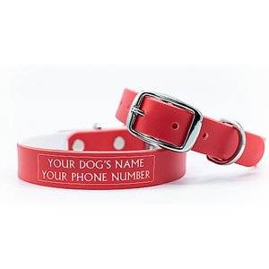 C4 Solid Waterproof Hypoallergenic Personalized Dog Collar, Red, Large