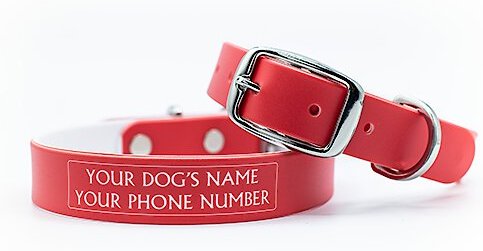 C4 Solid Waterproof Hypoallergenic Personalized Dog Collar, Red, X-Large slide 1 of 3