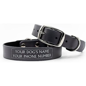 C4 Solid Waterproof Hypoallergenic Personalized Dog Collar, Slate, Small
