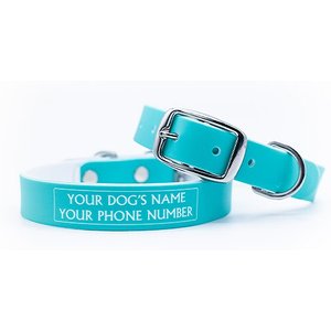C4 Solid Waterproof Hypoallergenic Personalized Dog Collar, Turquoise, Large