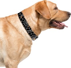 C4 Spiderwebs Waterproof Hypoallergenic Personalized Dog Collar, Small slide 2 of 4