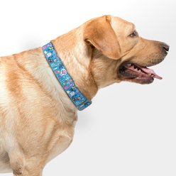C4 Day of the Dead Waterproof Hypoallergenic Personalized Dog Collar, Small slide 2 of 4