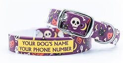 C4 Fright Fest Waterproof Hypoallergenic Personalized Dog Collar, Small