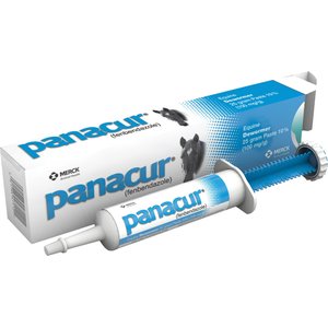 Panacur Equine Paste 10% Horse Dewormer, 25g, 10 count