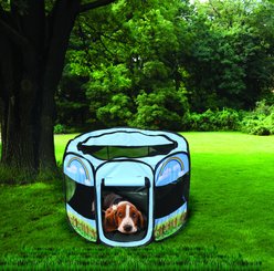 Etna Rainbow Pet Play Dog Pen, Large